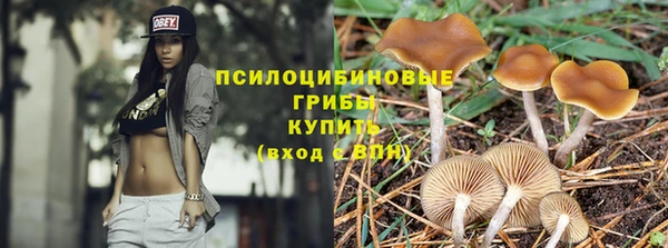 PSILOCYBIN Нефтегорск