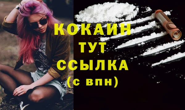 стаф Абаза